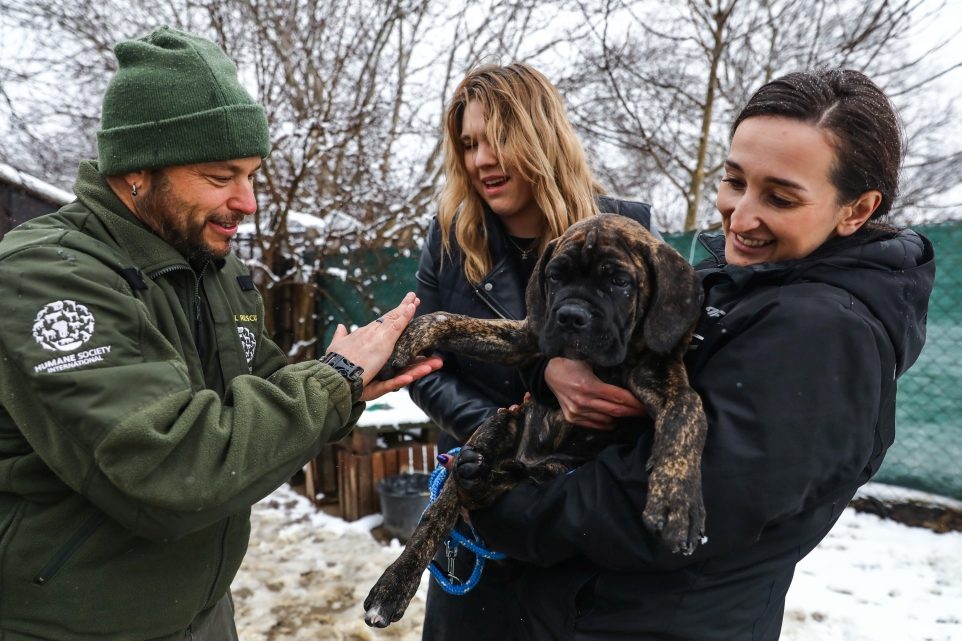 Adam Parascandola of Humane Society International together with Lidia Bodnar and Anna Dziuba of Association for Animals Tomaszow Lubelski, who is holding a 3 month old puppy Wolt from Ukraine, are visiting the temporary shelter for dogs from Ukraine, in Krasnystaw, on 02, APRIL. Saturday, April 02, 2022 in KRASNYSTAW, POLAND. (Beata Zawrzel/HSUS)