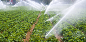 Woda w rolnictwie