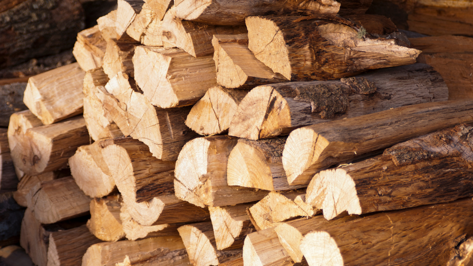 Zalecenia prewencyjne przy pozyskiwaniu drewna na potrzeby gospodarstwa rolnego