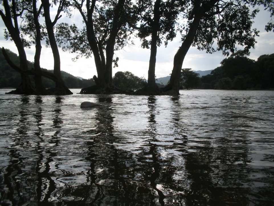 flooding-river-1556419